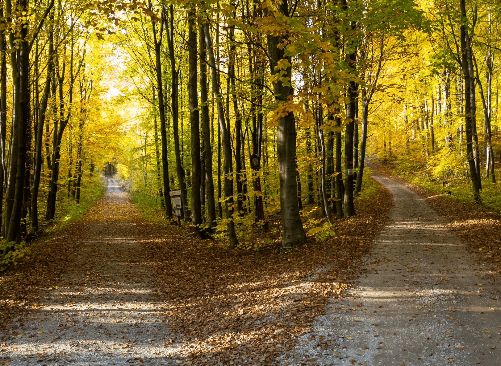 Imagem do post do blog